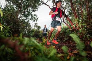 BIB: 
                            <button type="button" onclick="openModal(26209826)" class="btn btn-primary btn-sm float-right btn-popup" data-toggle="modal" data-target=".modal-high-quality">
                        <i class="fas fa-shopping-cart"></i> Add to Cart
                    </button>
                                            <button type="button" onclick="isThisMe(26209826, true)" class="btn btn-success btn-sm float-right btn-popup btn-isme hidden" data-toggle="tooltip" data-placement="bottom" title="นี่คือรูปของคุณใช่ไหม คลิกที่นี่เพื่อเอาเข้าอัลบั้ม">
                        <i class="fas fa-plus"></i> Add to album
                    </button>
                    <button type="button" onclick="isThisMe(26209826, false)" class="btn btn-warning btn-sm float-right btn-popup btn-isnotme hidden">
                        <i class="fas fa-ban"></i> Remove from album
                    </button>